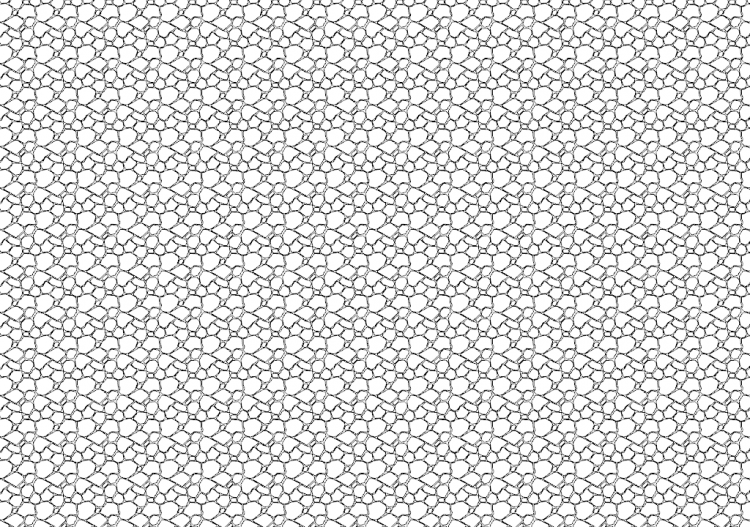 Steinmauer (08) - ACCA software