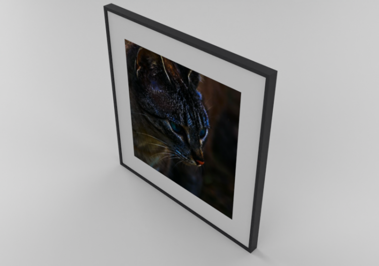 Tableaux 3D - Tableau - Luazzu - 13702114b - ACCA software