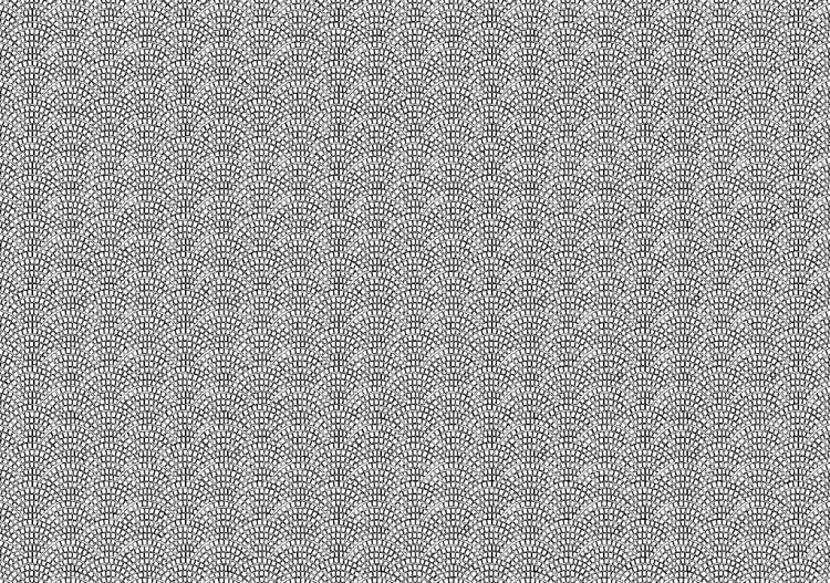 地面材料（31） - ACCA software