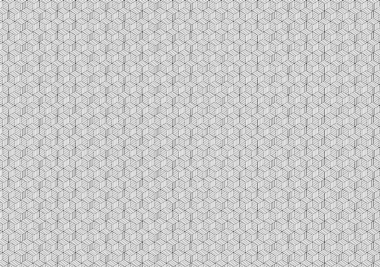 Parquet (11) - ACCA software