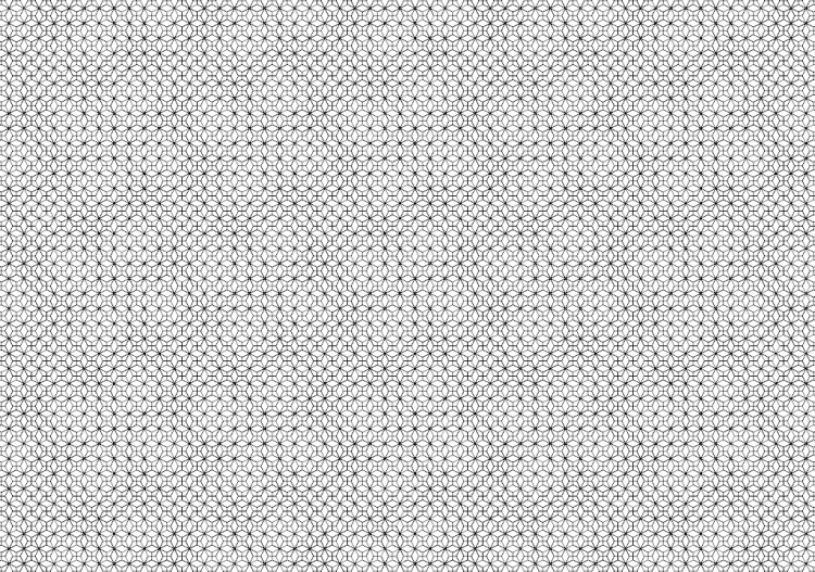 Mosaico (02) - ACCA software
