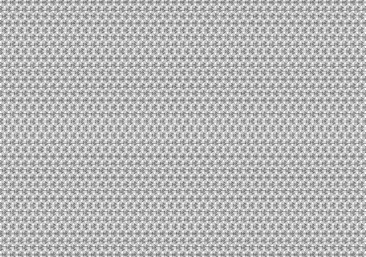 Mosaik (06) - ACCA software