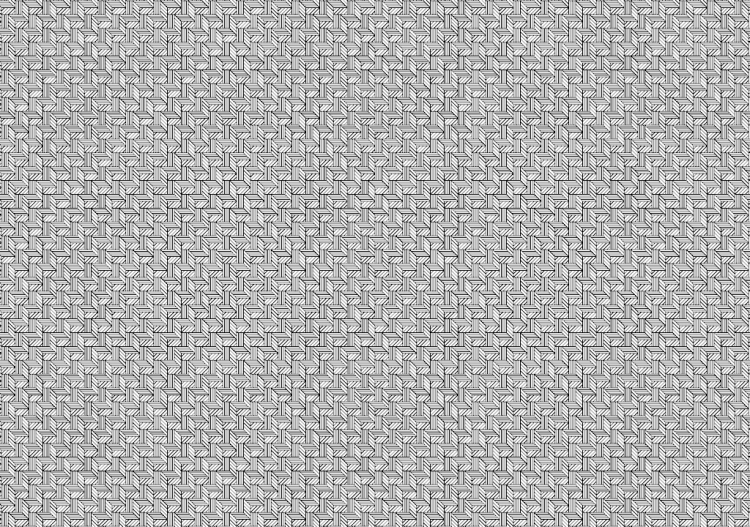Terrain (04) - ACCA software