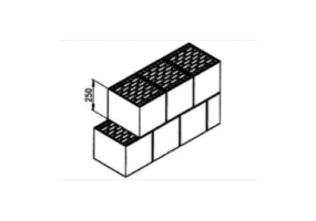 Hollow clay block (300*250*250)
