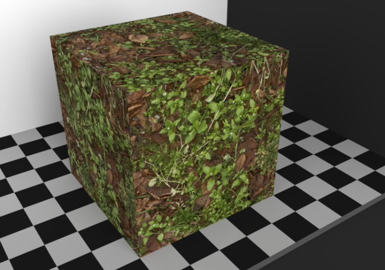 Terrain Texture - Erba (01) - AR - ACCA software