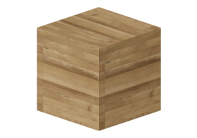 Faggio 03 (dritta accostata)