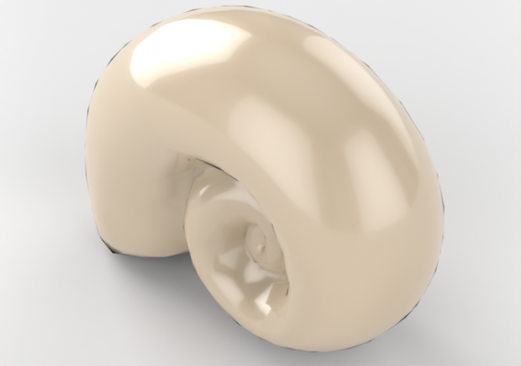 Acessórios 3D - Concha decorativa ornamento - ACCA software