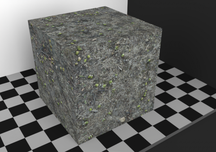 Texture terrain - Terrain (18) - ACCA software