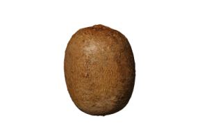 Accessori 3D - Kiwi
