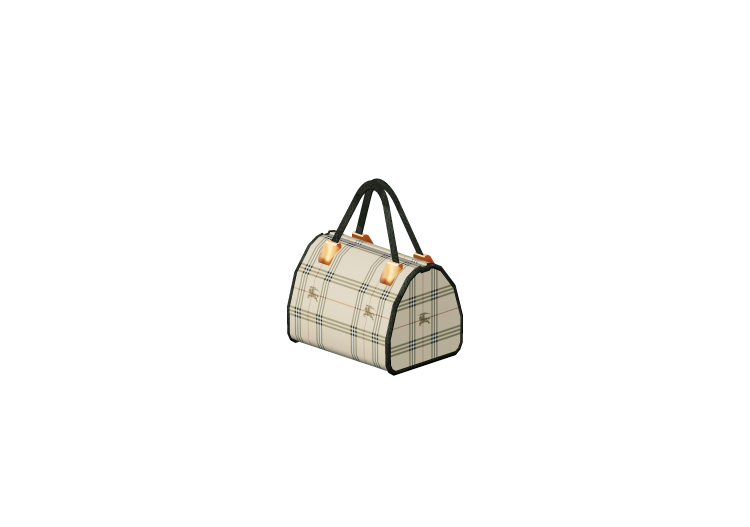 3D Models - Woman's Handbag - ACCA software 3D Models - Woman's Handbag - ACCA software