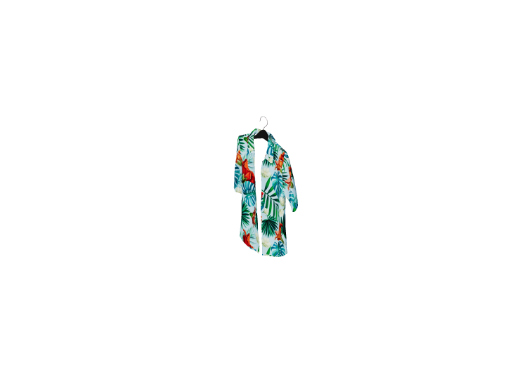 Modelli 3D - Camicia hawaiana - ACCA software Modelli 3D - Camicia hawaiana - ACCA software