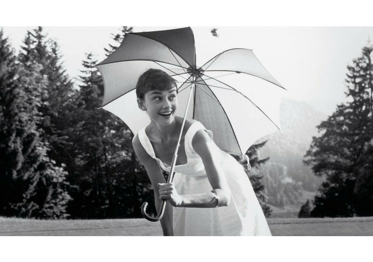 Bilder - Audrey3 - ACCA software