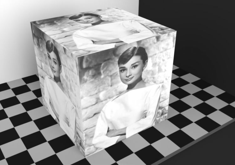 FOTOS - ACCA software