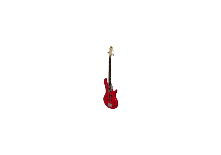 Instruments Musicaux - Basse électrique - ACCA software Instruments Musicaux - Basse électrique - ACCA software