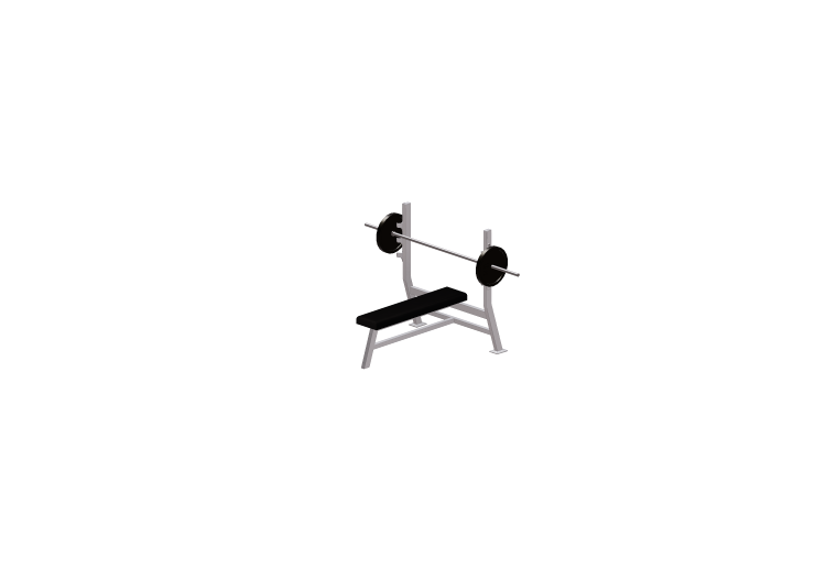 Fitness 3D - Flachbank - ACCA software Fitness 3D - Flachbank - ACCA software