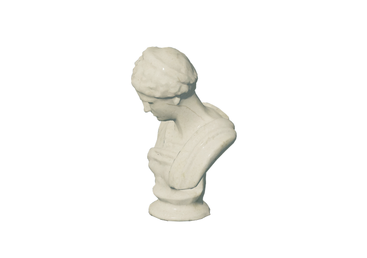 Sculptures 3D - Buste romain - ACCA software Sculptures 3D - Buste romain - ACCA software