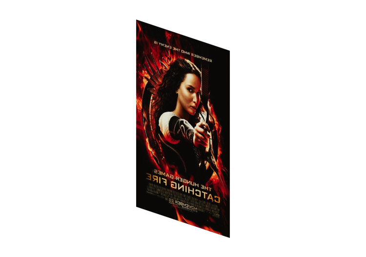 3D Prints - Hunger Games Poster - ACCA software 3D Prints - Hunger Games Poster - ACCA software