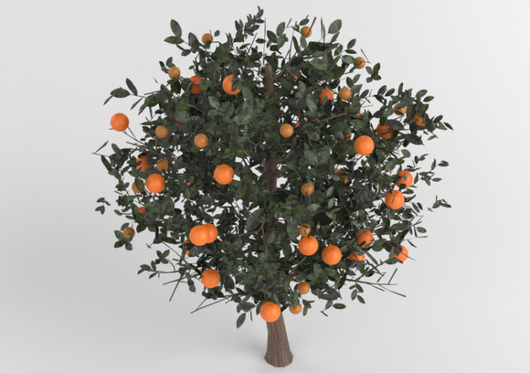 ALBERO ARANCIO - ACCA software