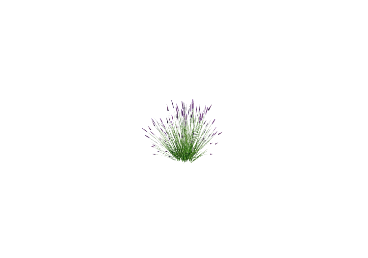 3D Büsche - Lavendel - ACCA software 3D Büsche - Lavendel - ACCA software