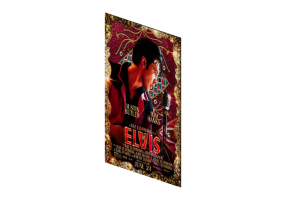 Impress&otilde;es 3D - Cartaz Elvis