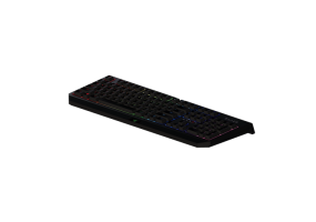 Celulares e Computadores 3D - Razer Blackwidow Chroma