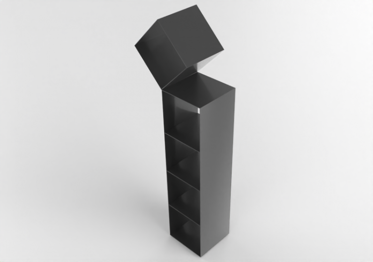 3D Book shelf - Bookshelf in wood - Cappellini - Drop - DR3...