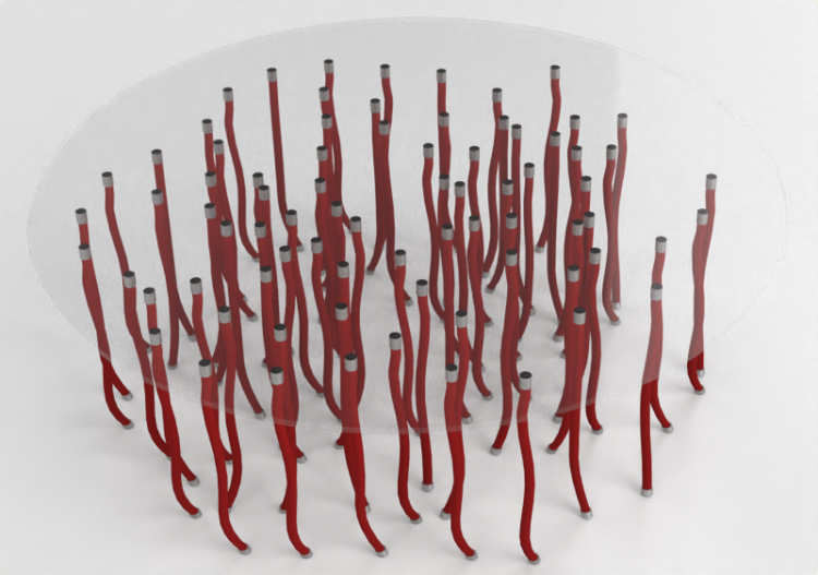 Mesas 3D - Mesa de centro de vidro - Cappellini - Org - OG7...