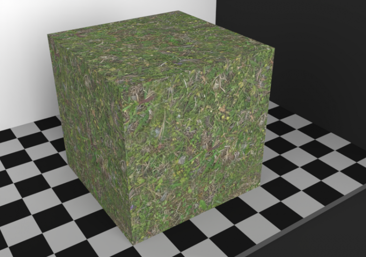 Texture terreno - Erba (01) - ACCA software