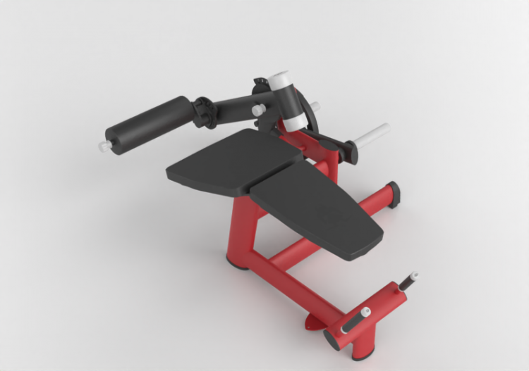 Fitness 3D - leg curl - ACCA software