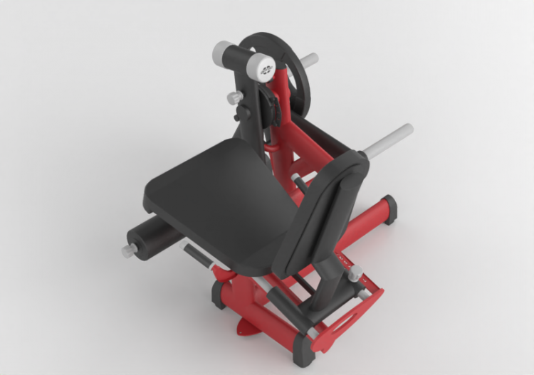 Fitness 3D - leg ext - ACCA software