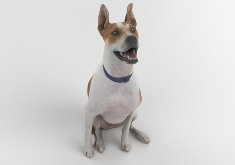 Cane DC - MCDesign - ACCA software