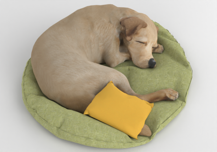Can che dorme - MCDesign - ACCA software