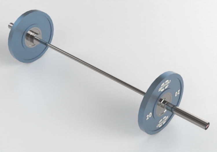Fitness 3D - Premium Women's Olympic Bar - Gym80 - 2187 -...