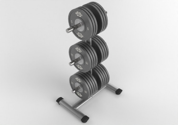 Fitness 3D - Support pour disques de musculation - Gym80 -...