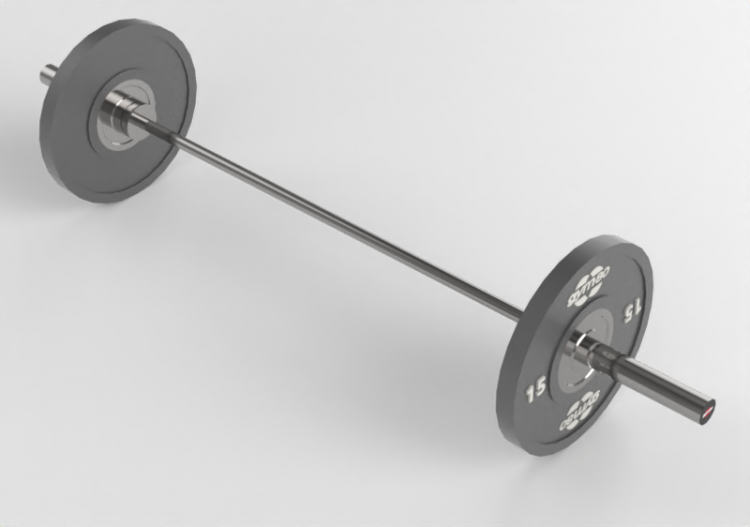 Fitness 3D - Gym barbell - Gym80 - 2190 - ACCA software