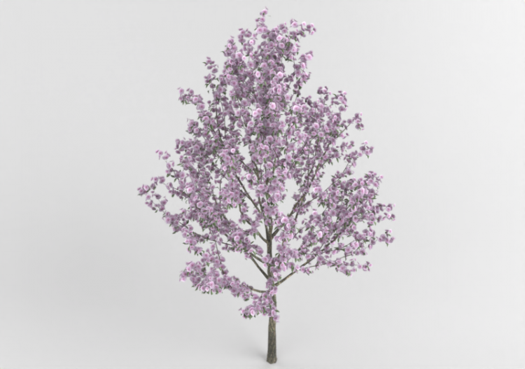 Prunus MCDesign - ACCA software