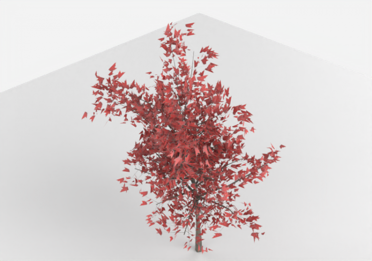Acero Rosso - MCDesign - ACCA software