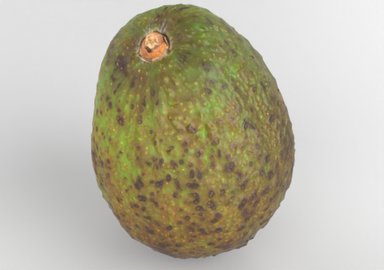 配饰 - Avocado - ACCA software