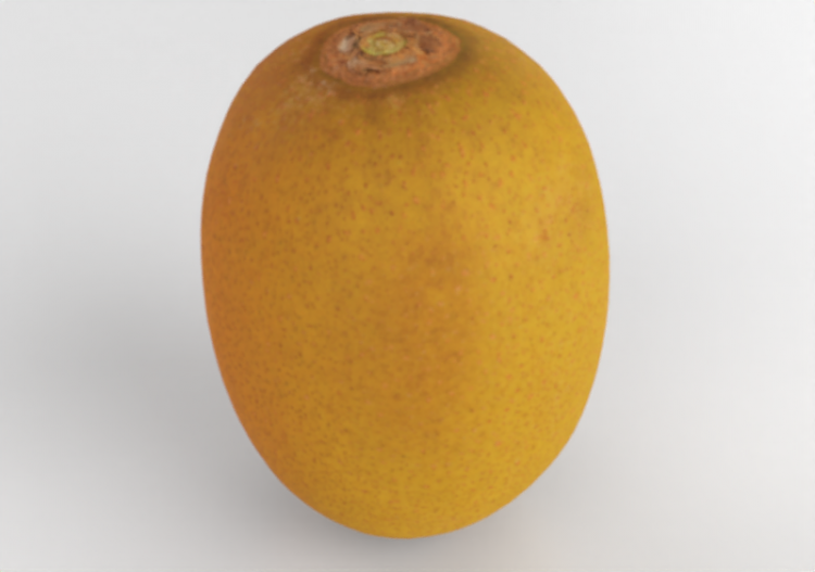 3D Zubehör - Kiwi gold - ACCA software