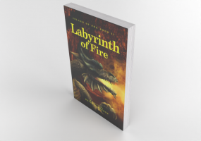 Books and Magazines 3D - Labyrinth of Fire