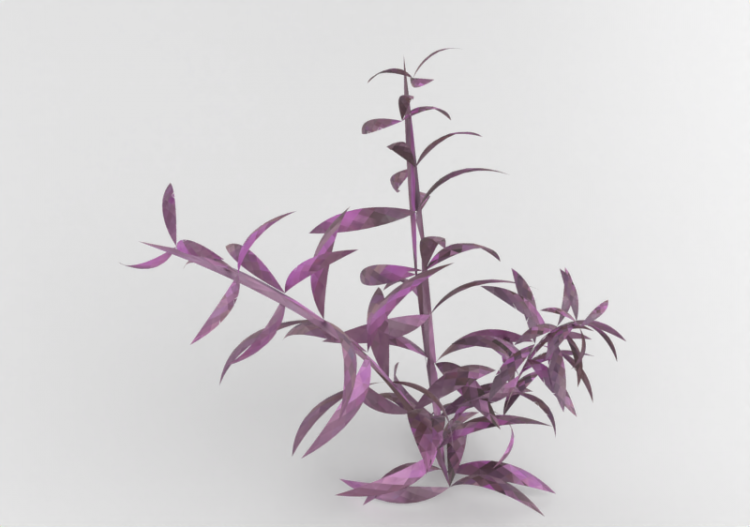 配饰 - Plante aquatique 2 - ACCA software