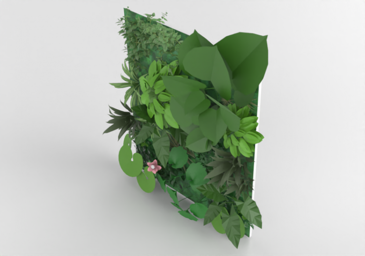 Mur+végétal - ACCA software