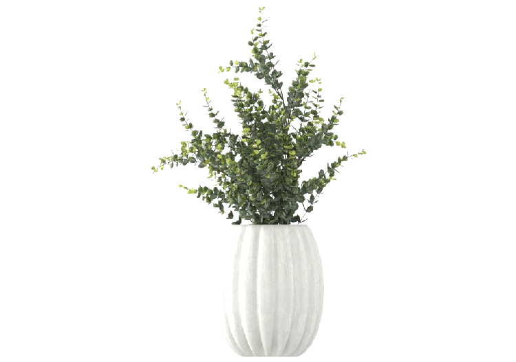 Arbres 3D - Pianta con Vaso MCDesign 2024 - ACCA software
