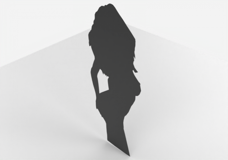 Silhouette femme - ACCA software