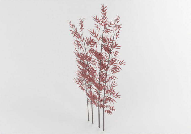 Bamboo+2 - ACCA software
