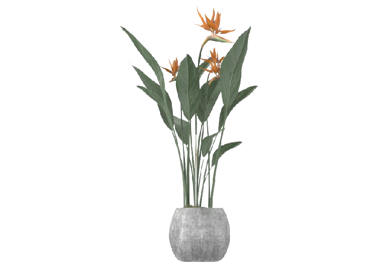 Plantas 3D - Strelitzia con Vaso MCDesign 2024 - ACCA...