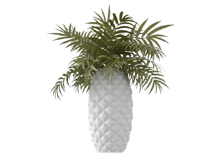 Plantas 3D - Felce con Vaso MCDesign 2024 - ACCA software