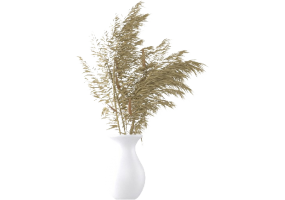 Plantes 3D - Vaso con Gynerium MCDesign 2024