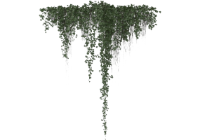 Arbres 3D - Edera MCDesign 2024