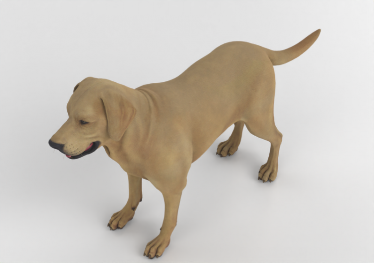 Cane Labrador - MCDesign 2025 - ACCA software